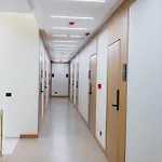 Mece Tirana